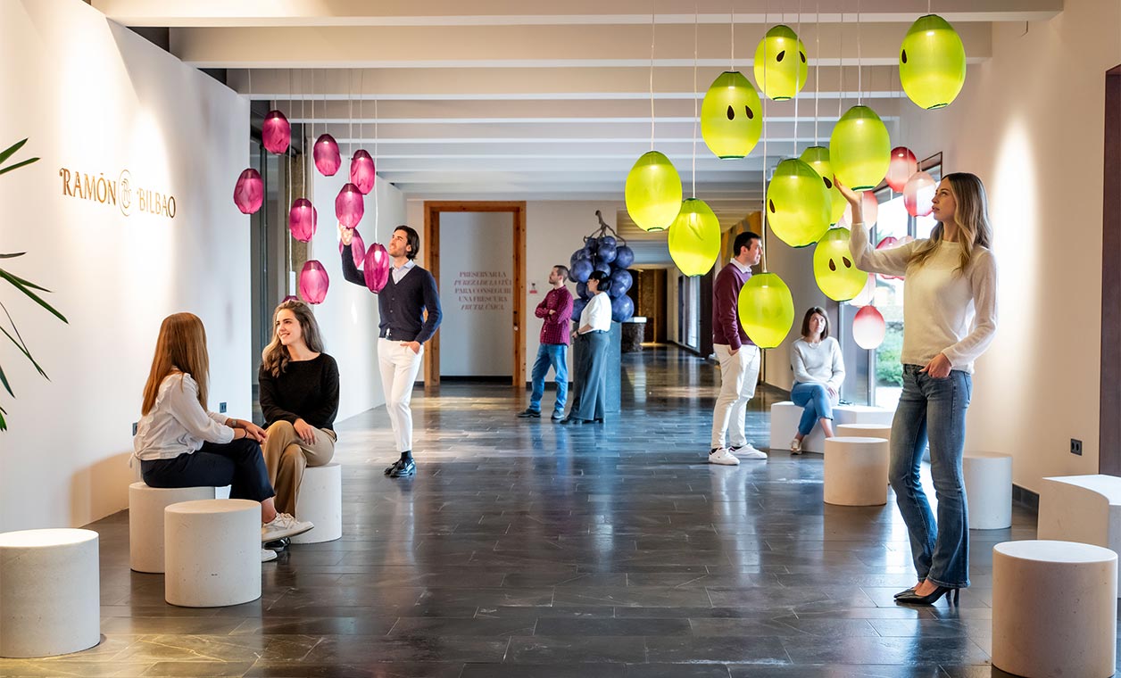 Wine tour in Bodega Ramon